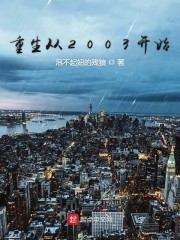 重生从2003开始封面