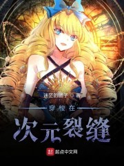 穿梭在次元裂缝封面