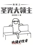 海贼之圣光大领主封面