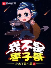 我不是枣子哥封面