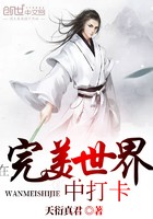 在完美世界中打卡封面