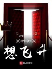 我的老板想飞升封面