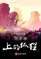 西游路上的狐狸封面