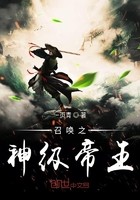 召唤之神级帝王封面