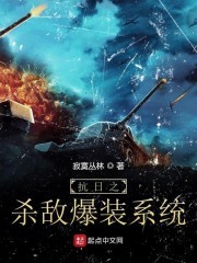 抗日之杀敌爆装系统封面