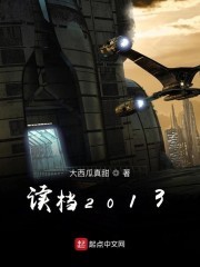 读档2013封面