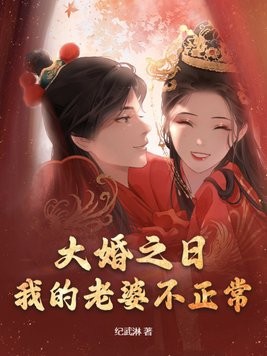 大婚之日,我的老婆不正常封面