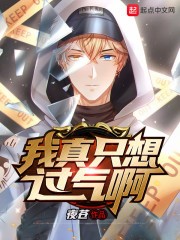 我真只想过气啊封面