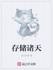 存储诸天封面
