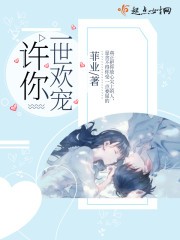 许你一世欢宠封面