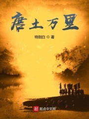 唐土万里封面