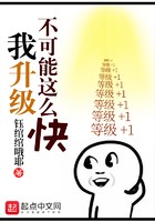 我升级不可能这么快封面