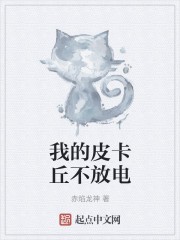 我的皮卡丘不放电封面