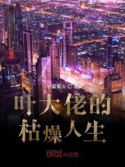 叶大佬的枯燥人生封面