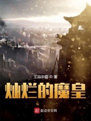 灿烂的魔皇封面