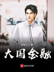 大国金融封面