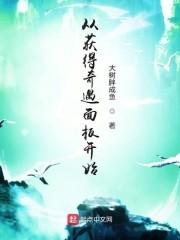 从获得奇遇面板开始封面