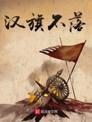 汉旗不落封面