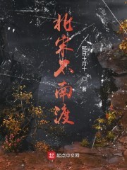 北宋不南渡封面