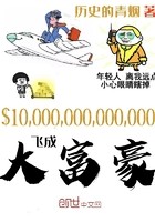 飞成大富豪封面