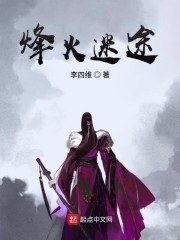 烽火迷途封面