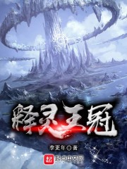 释灵王冠封面
