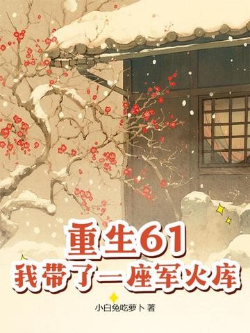 重生61,我带了一座军火库封面