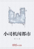 小司机闯都市封面