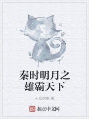 秦时明月之雄霸天下封面