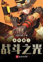 奥特曼之战斗之光封面