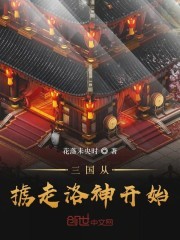 三国从掳走洛神开始封面