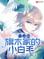 木叶之旗木家的小白毛封面