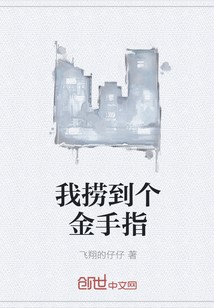我捞到个金手指封面
