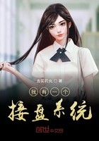 我有一个接盘系统封面