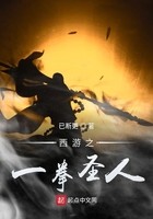 西游之一拳圣人封面