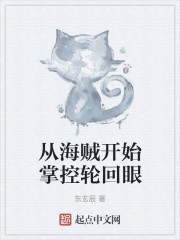 从海贼开始掌控轮回眼封面