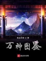 万神图鉴封面