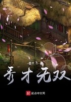 秀才无双封面