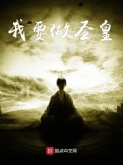 我要做圣皇封面