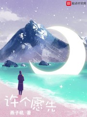 许个愿先封面