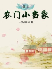 重生农门小当家封面