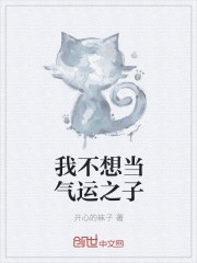 我不想当气运之子封面