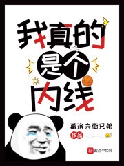我真的是个内线封面