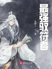 最强驭符者封面