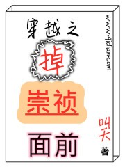 穿越之掉崇祯面前封面