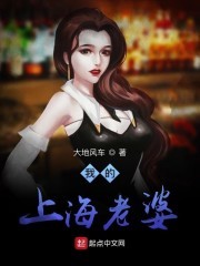 我的上海老婆封面