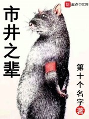 市井之辈封面