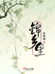 锦乡里封面