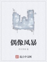 偶像风暴封面