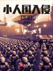 小人国入侵地球封面